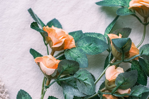 Tiny roses in bundles of 11