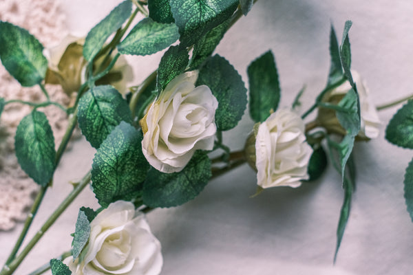 Tiny roses in bundles of 11