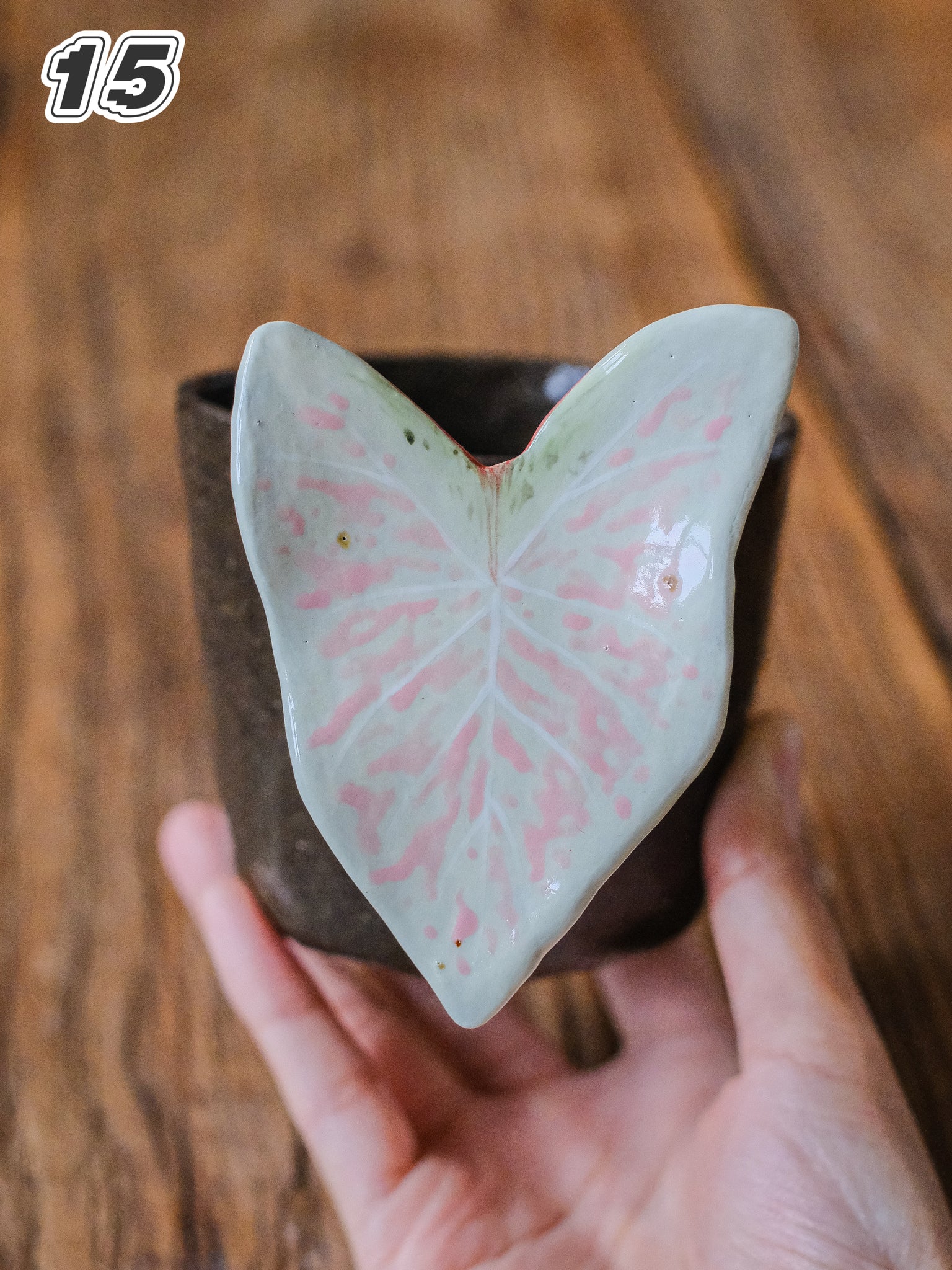 {YYGN} Handcrafted Tropical Plant Mug 15