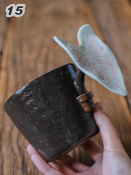{YYGN} Handcrafted Tropical Plant Mug 15