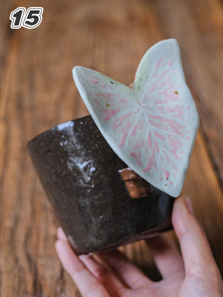 {YYGN} Handcrafted Tropical Plant Mug 15