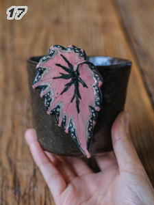 {YYGN} Handcrafted Tropical Plant Mug 17