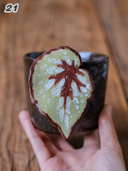 {YYGN} Handcrafted Tropical Plant Mug 21