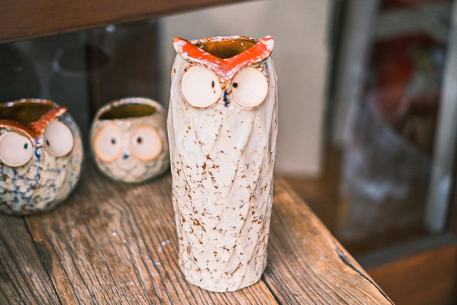 Owls Succulent pots