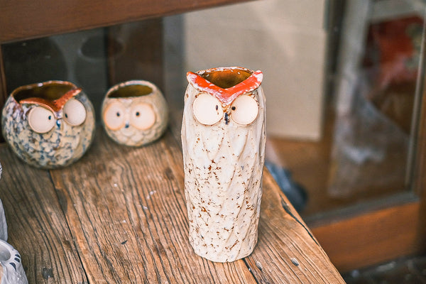 Owls Succulent pots