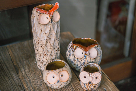 Owls Succulent pots