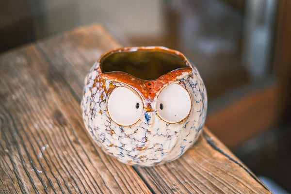 Owls Succulent pots